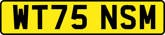 WT75NSM