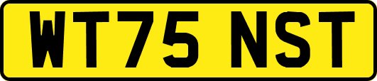 WT75NST