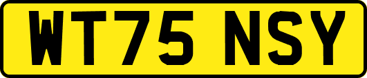 WT75NSY