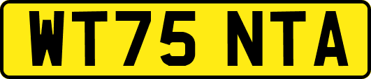 WT75NTA