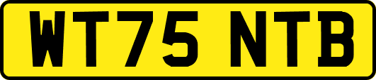 WT75NTB