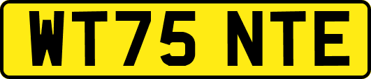 WT75NTE