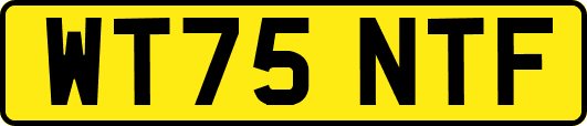 WT75NTF