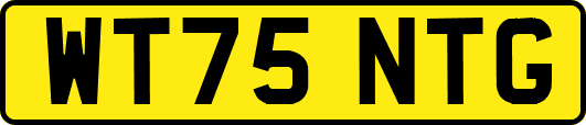 WT75NTG