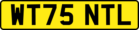 WT75NTL