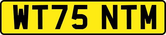 WT75NTM
