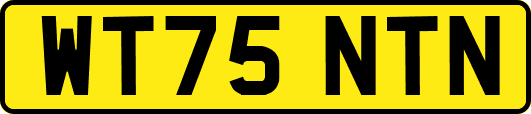 WT75NTN