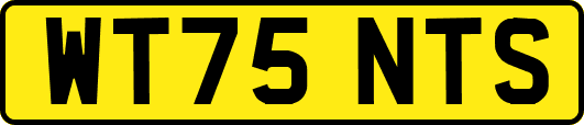 WT75NTS