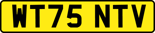 WT75NTV