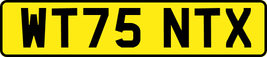 WT75NTX