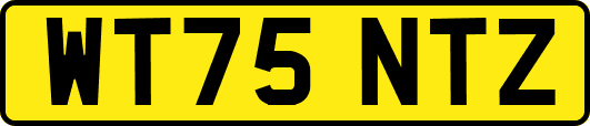 WT75NTZ
