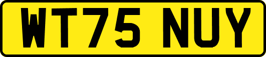 WT75NUY