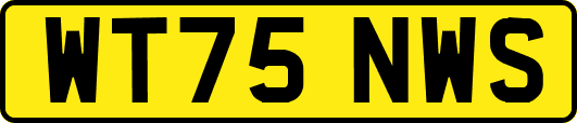 WT75NWS