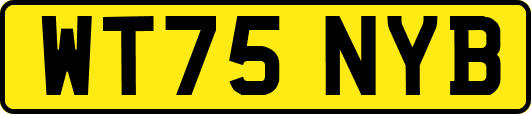 WT75NYB