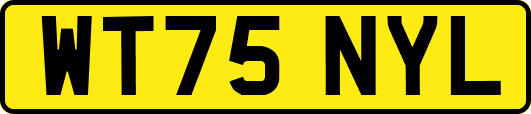 WT75NYL