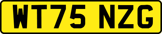 WT75NZG