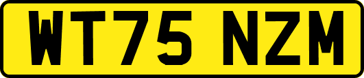 WT75NZM