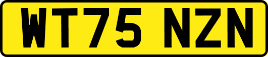 WT75NZN