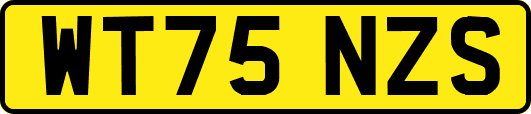 WT75NZS