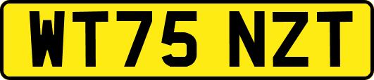 WT75NZT