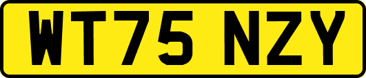 WT75NZY