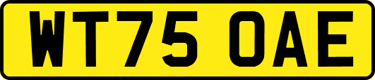 WT75OAE