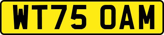WT75OAM
