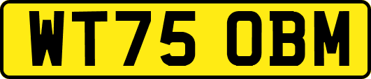 WT75OBM
