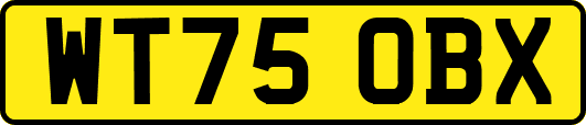 WT75OBX
