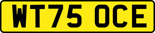WT75OCE