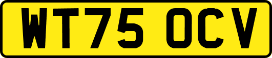 WT75OCV