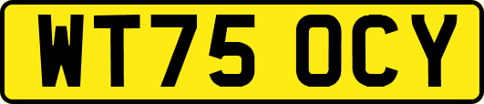 WT75OCY
