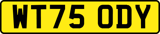 WT75ODY