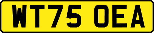 WT75OEA