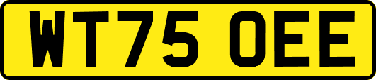 WT75OEE