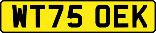 WT75OEK