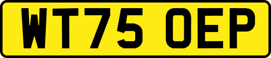 WT75OEP
