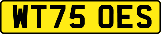 WT75OES