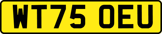 WT75OEU