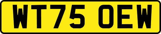 WT75OEW