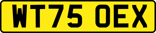 WT75OEX