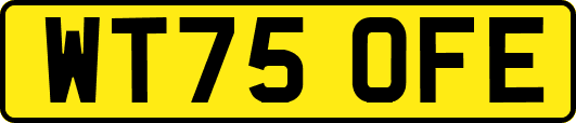 WT75OFE