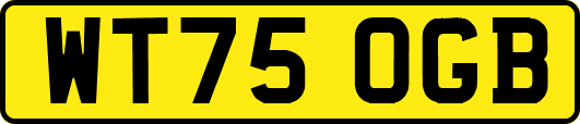 WT75OGB