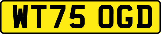 WT75OGD
