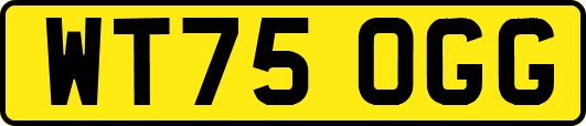 WT75OGG
