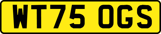 WT75OGS