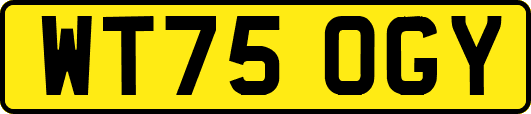 WT75OGY