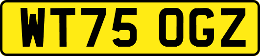 WT75OGZ