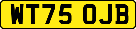 WT75OJB