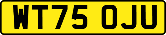 WT75OJU